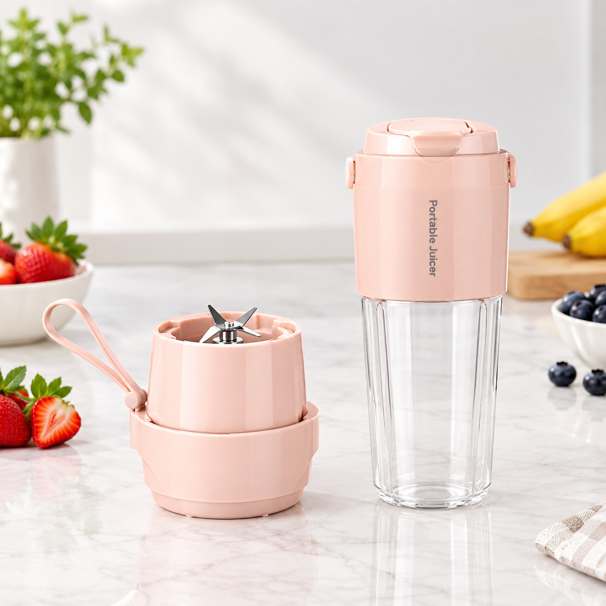 Portable Mini Juicer for Smoothies